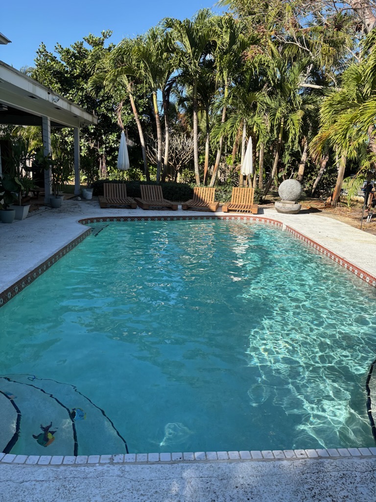 Same backyard pool sparkling clean and clear after an Excel Pool Care service visit